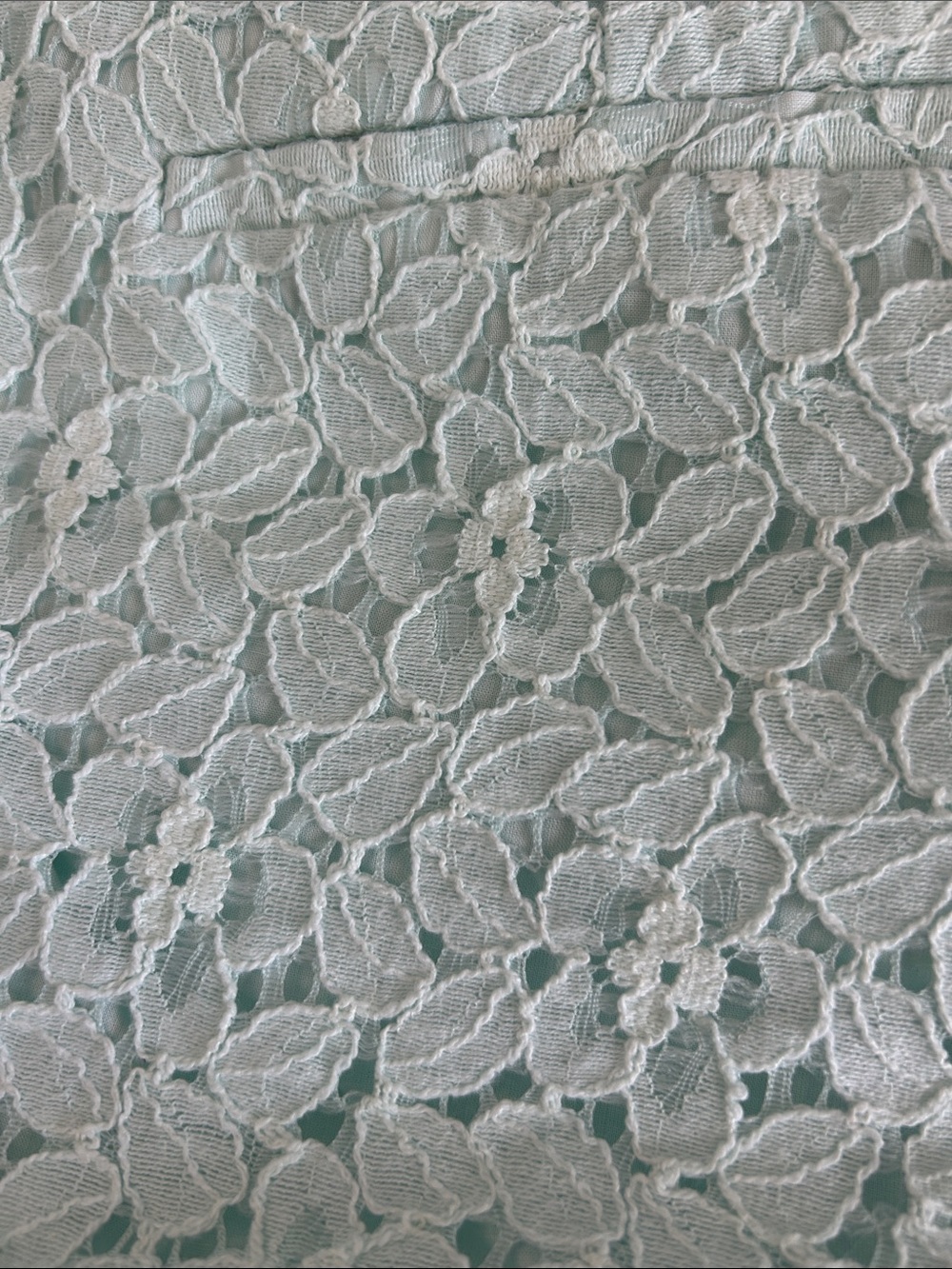 LOFT Lace Shorts Womens Mint Green Floral Eyelet Size 10 Summer - Picture 4 of 4